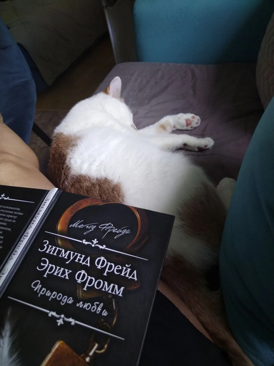 "Где найти свою любовь?"