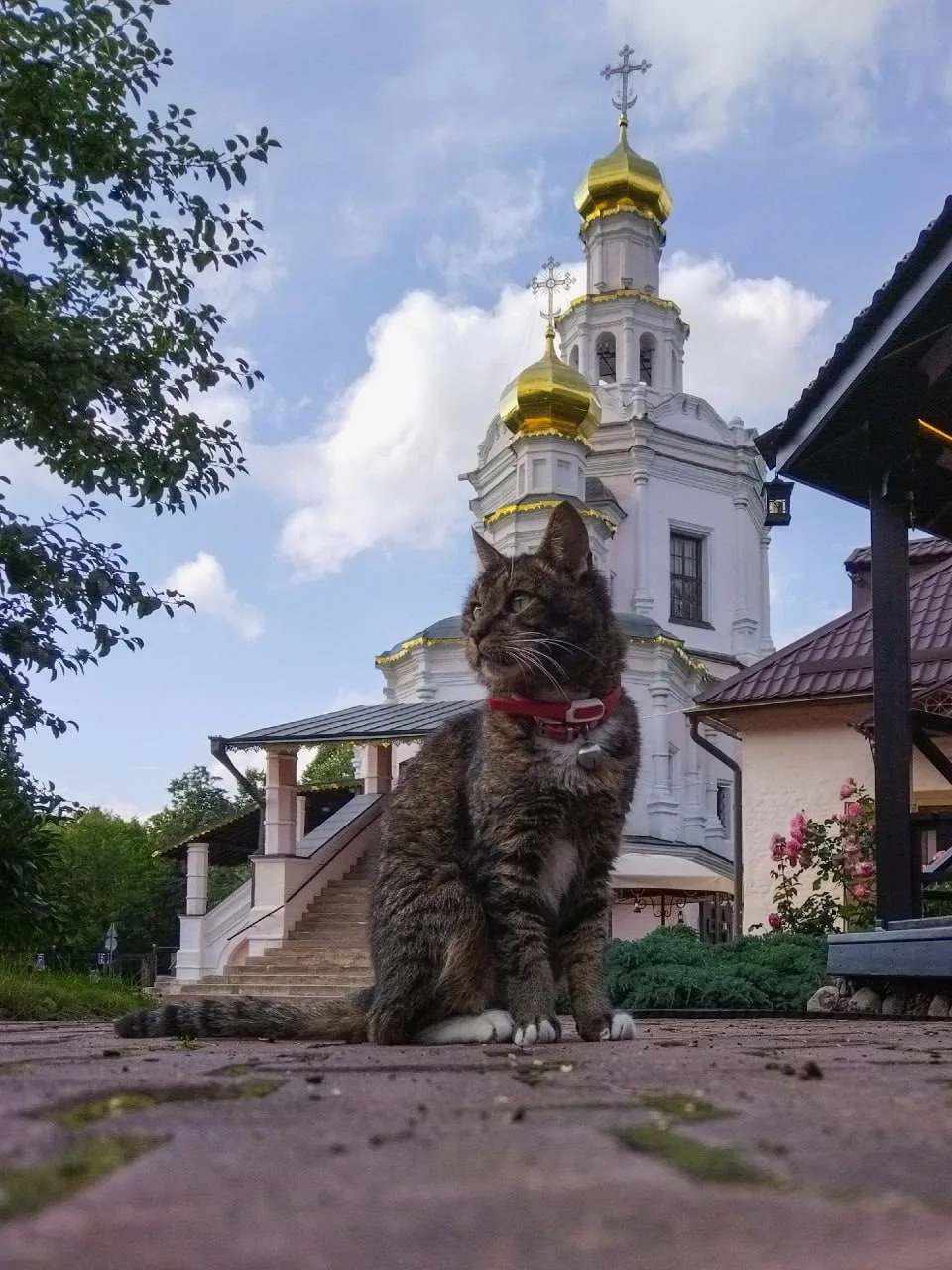 📍Храм святых благоверных князей Бориса и Глеба у соседей в Зюзино.