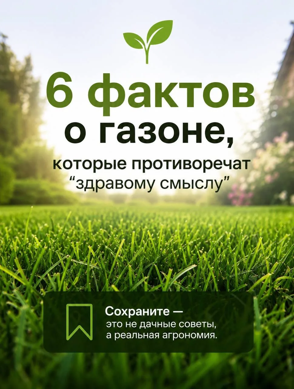 📌 Сохраните — это те вещи, которые обычно понимают только после потерь на участке

💬 Какой факт во