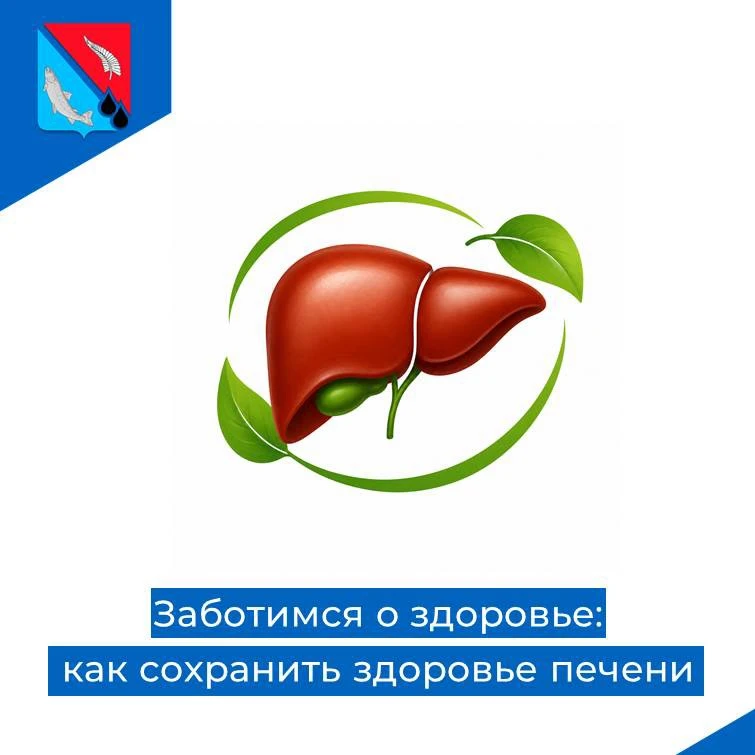 🩺 Заботимся о здоровье: как сохранить здоровье печени