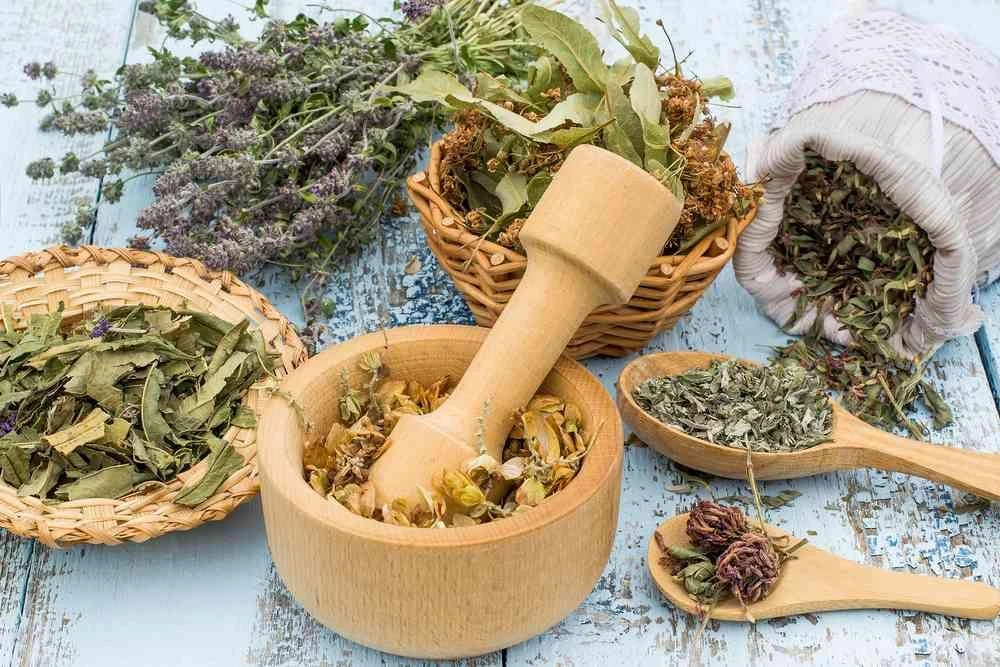 🌿 Какие травы используют для поддержки сердца? ❤️