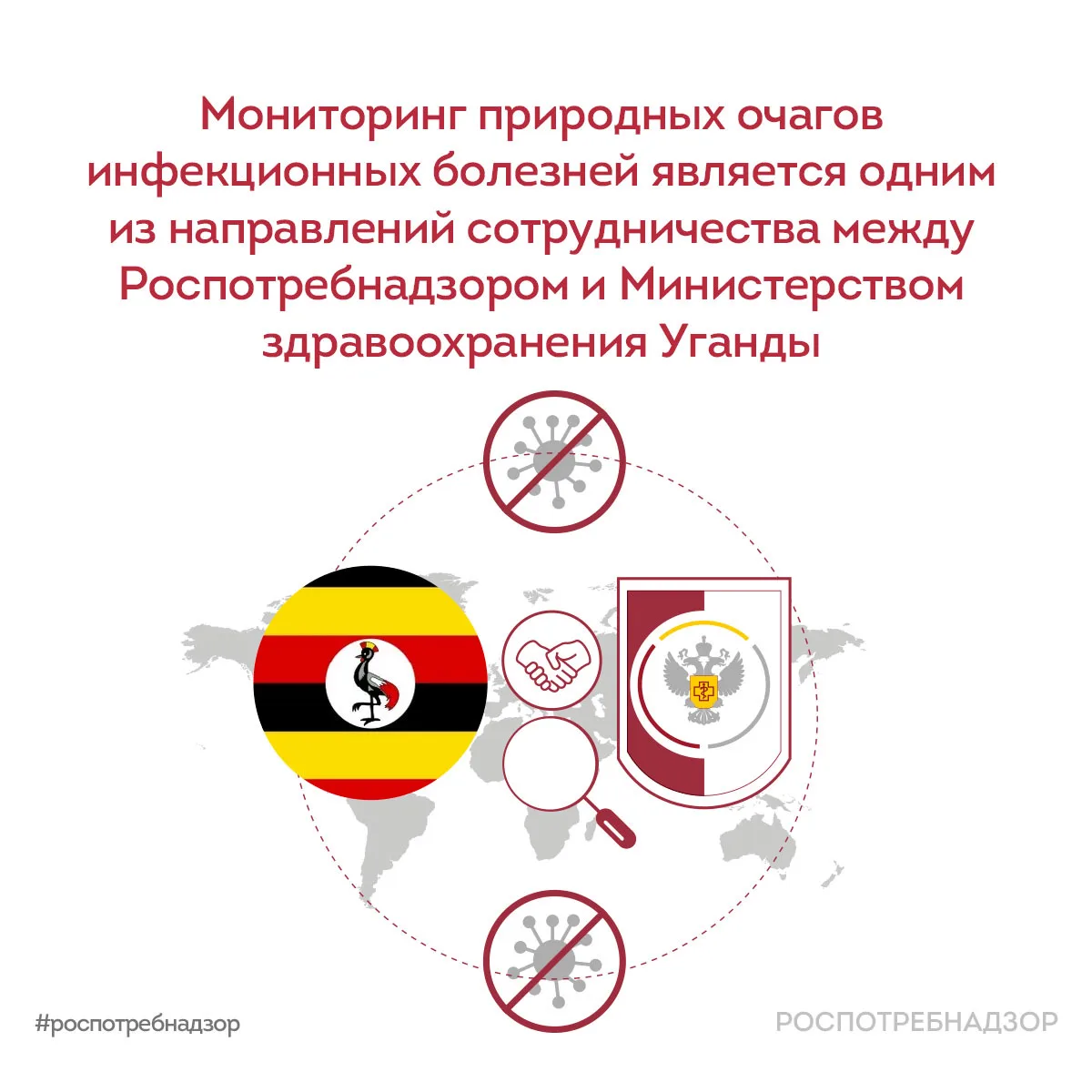 ℹ️ В ряде СМИ появились материалы об анализе записей с видеоловушек, установленных вблизи пещеры Pyt