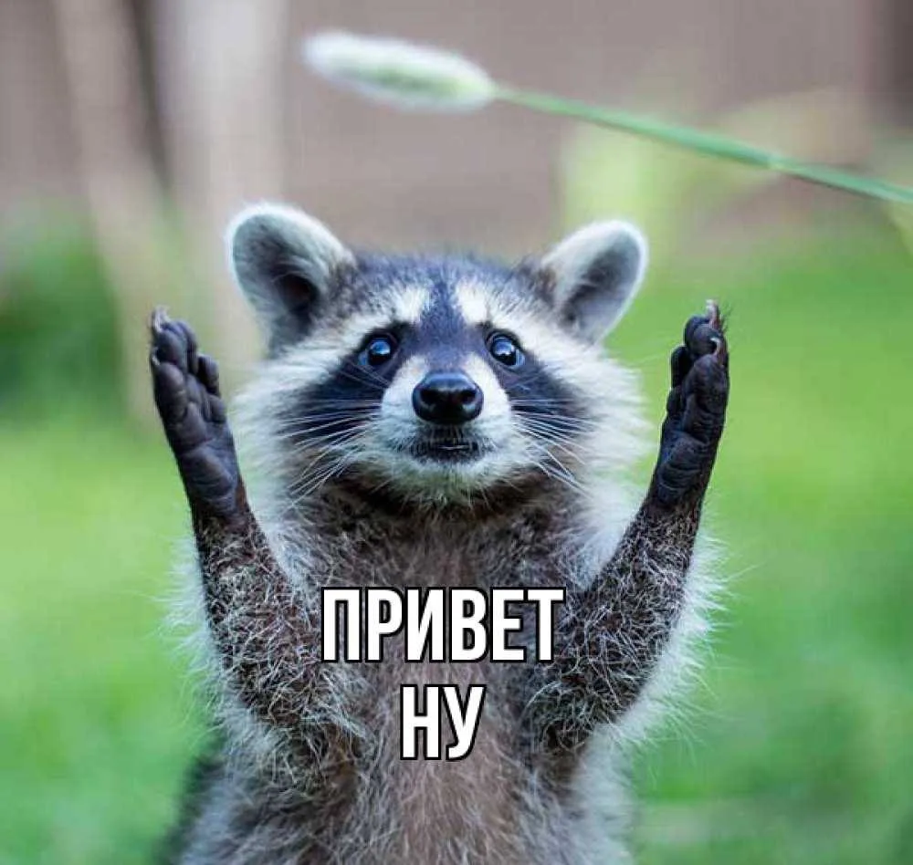 Хотите поделиться счастьем? Вам есть кого поздравить?