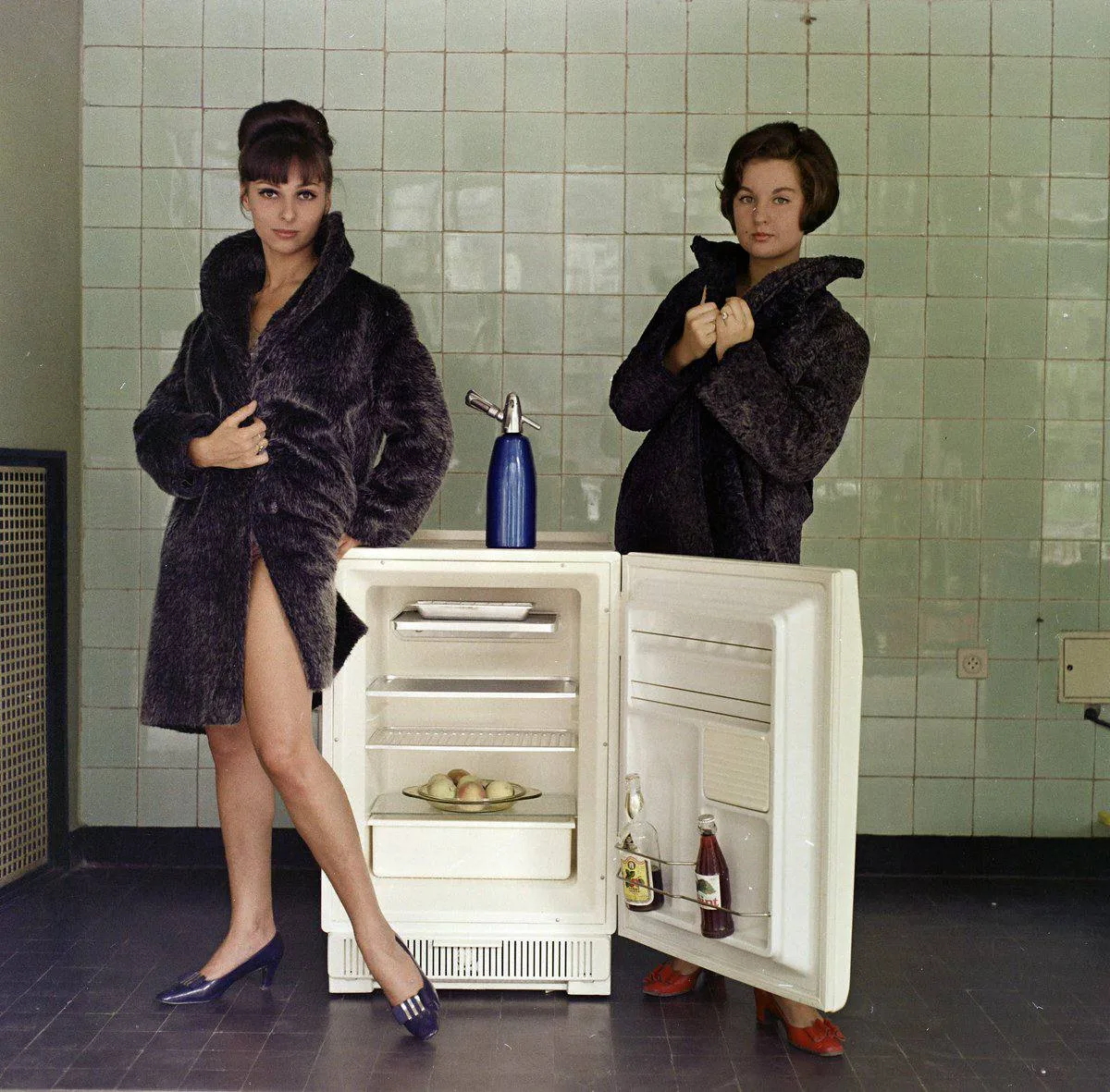 Реклама холодильников в Венгрии, 1969