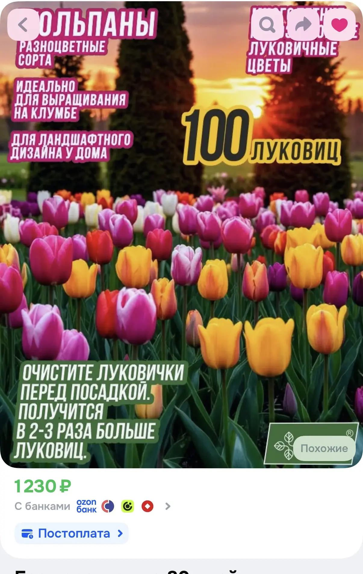 100 штук
