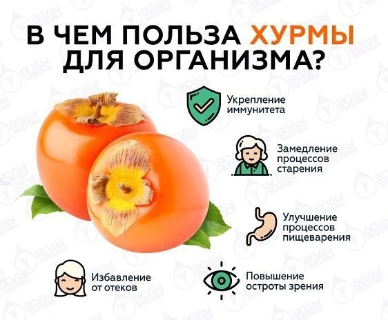 Польза хурмы. 

Антиоксиданты. Основная ценность хурмы – в наличии большого количества антиоксиданто