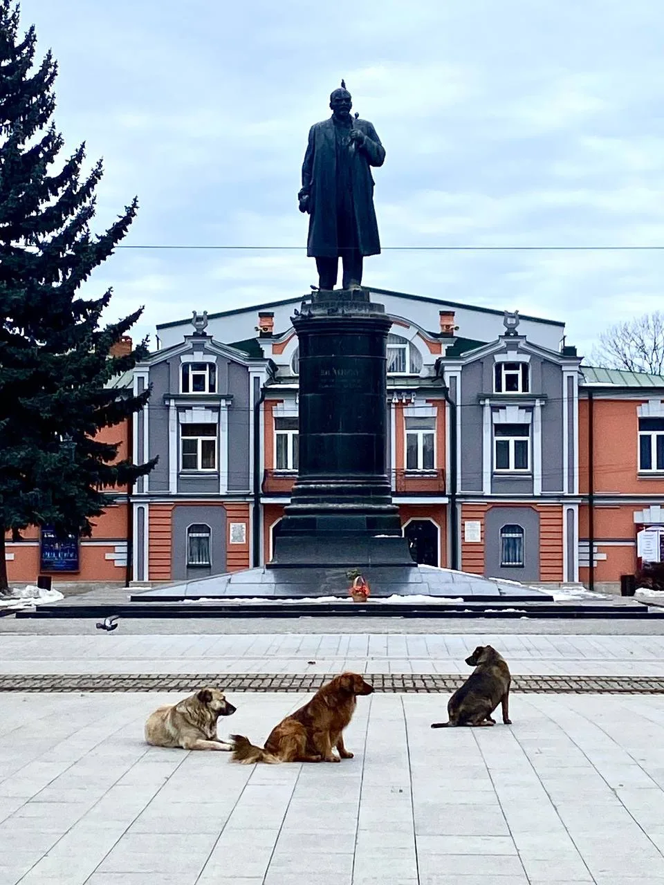 Картина маслом ❤️