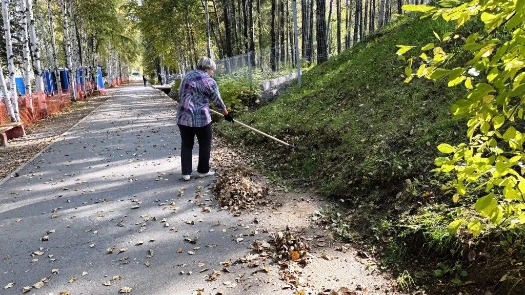 2 сентября сотрудники Тындинской городской  библиотеки, в рамках субботника «Чистая осе...