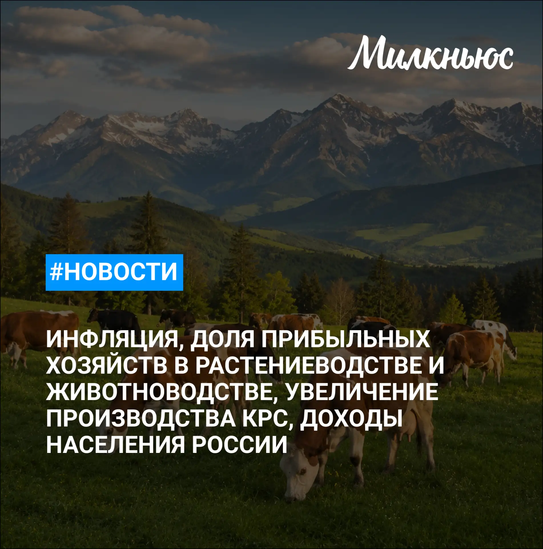 🐮 В России инфляция с 21 по 27 июля составила 0,04%, годовая выросла до 5,95%