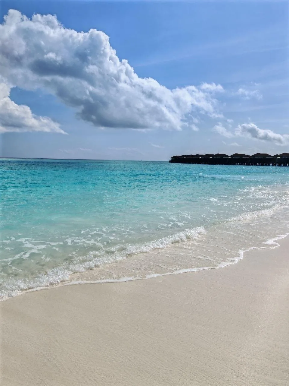 Avani+ Fares Maldives Resort🩵🌊
