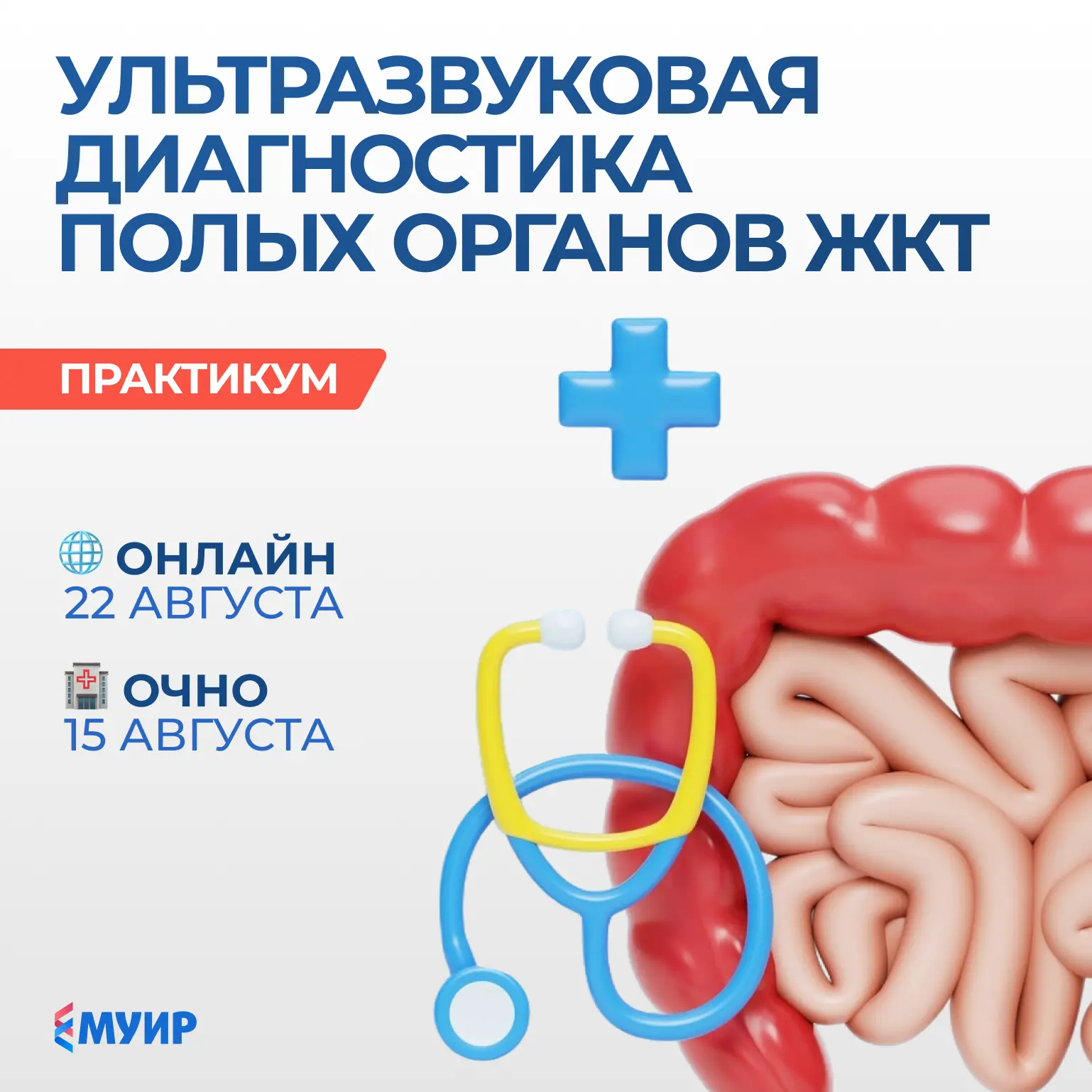 🧐 Есть ли смысл в УЗИ кишечника? Можно ли таким образом увидеть аппендицит?