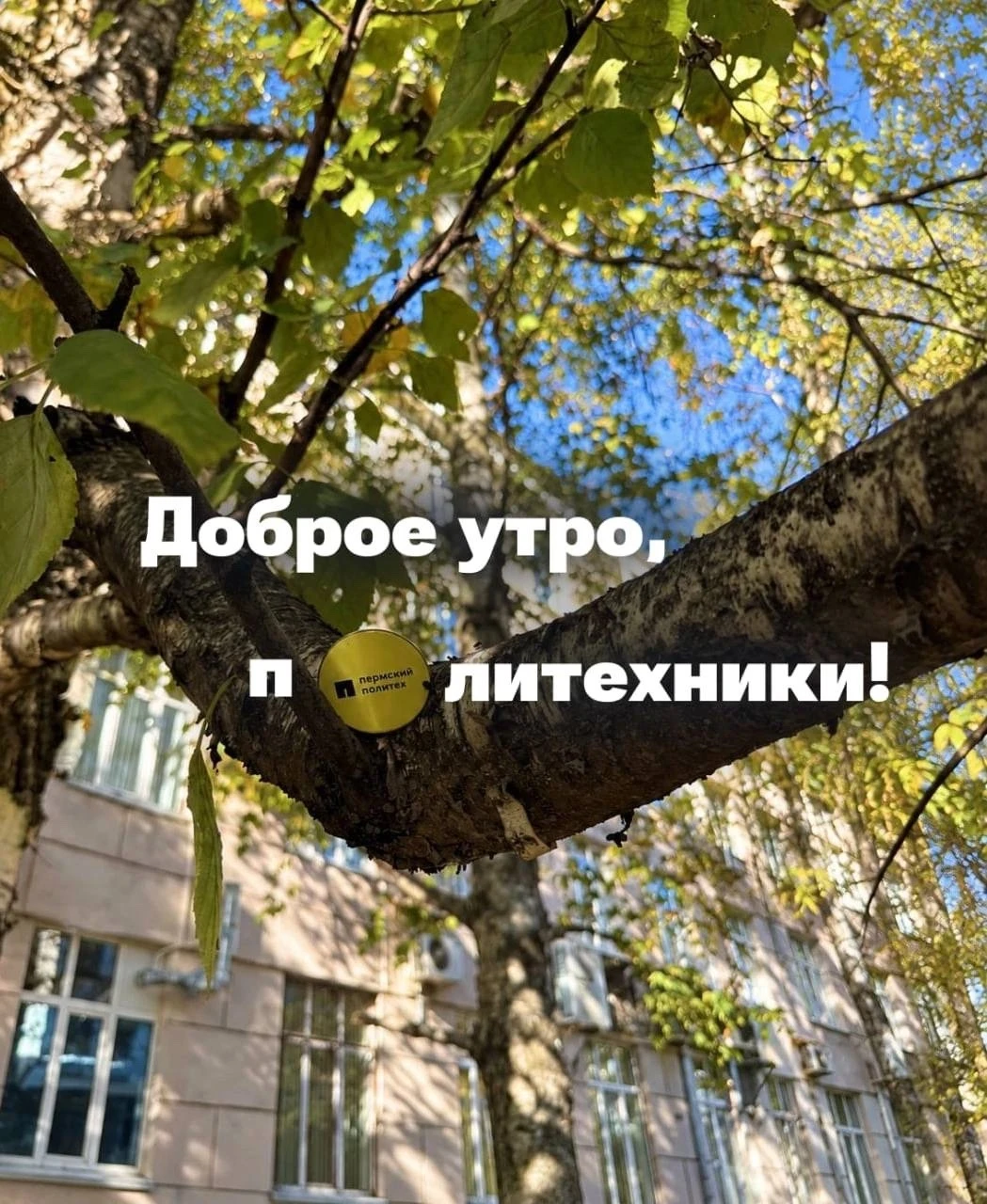 ☀️ Доброе утро, политехники!