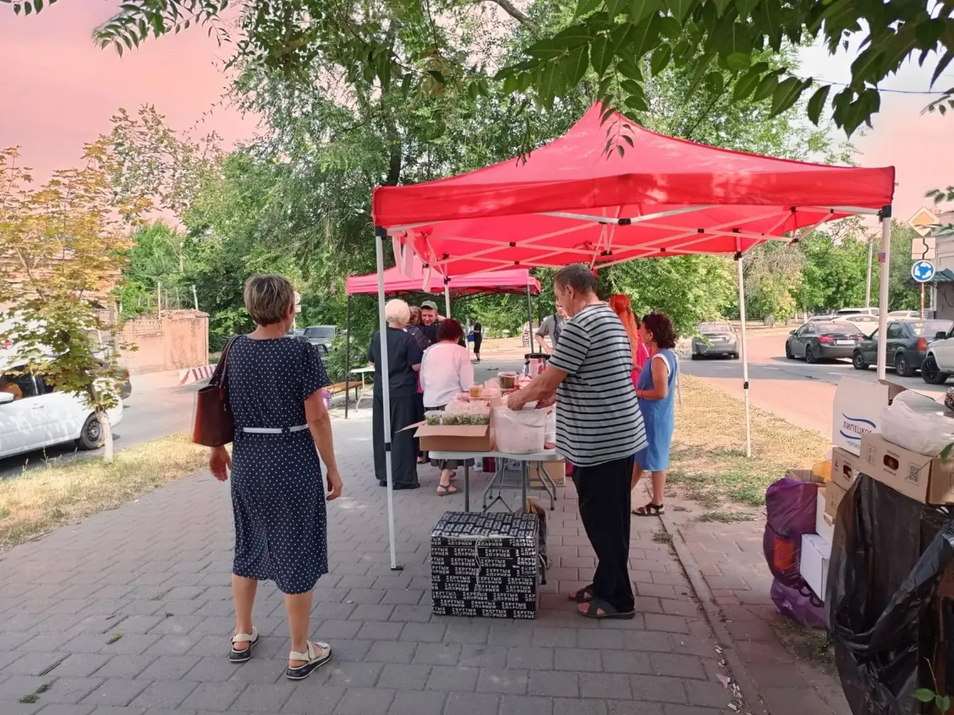 В Новочеркасске депутат городской Думы Ирина Бартенева поддержала акцию волонтеров объе...