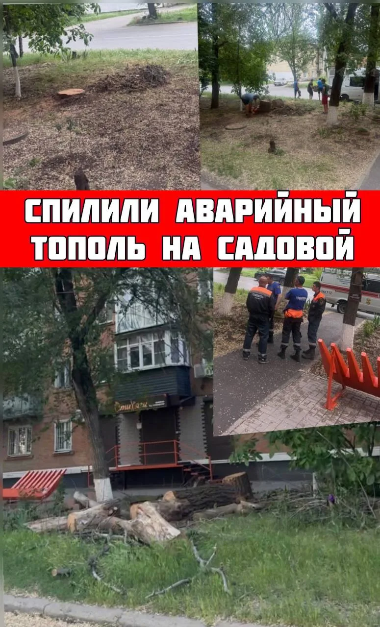 На ул Садовая район 6 лицея , рядом садик 24,  В департамент писали заявление на спил этого опасного