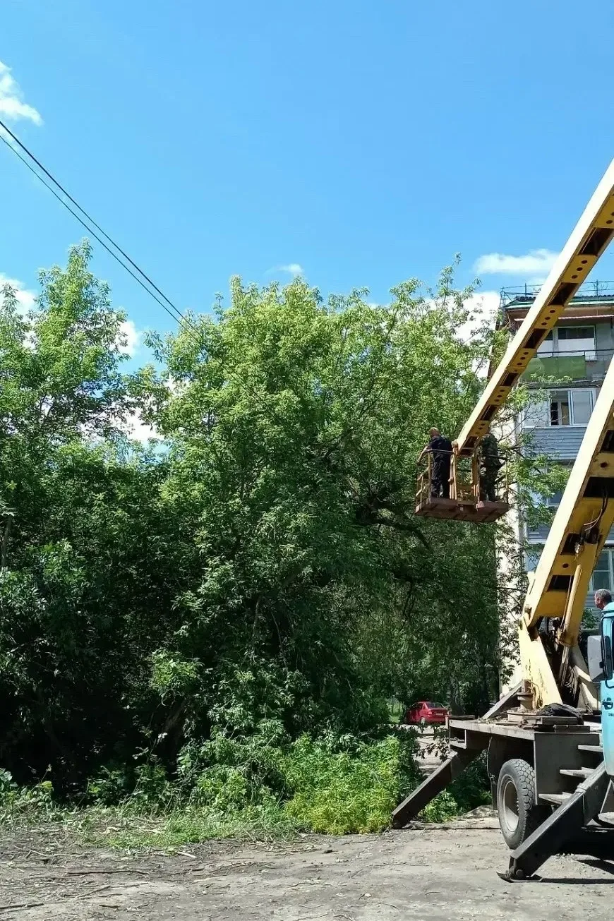 Сегодня сотрудниками МБУ «Благоустройство и озеленение» в плановом порядке проведен ком...