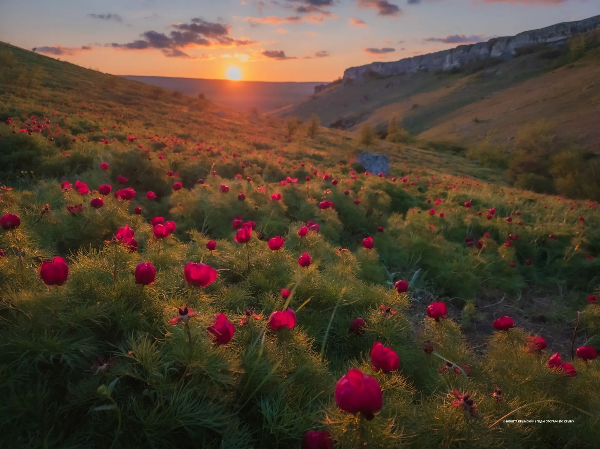 Красная балка на закате📸