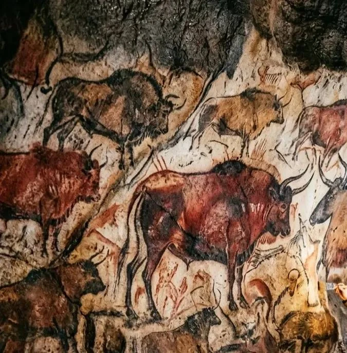 🐂 «Папа, там быки»