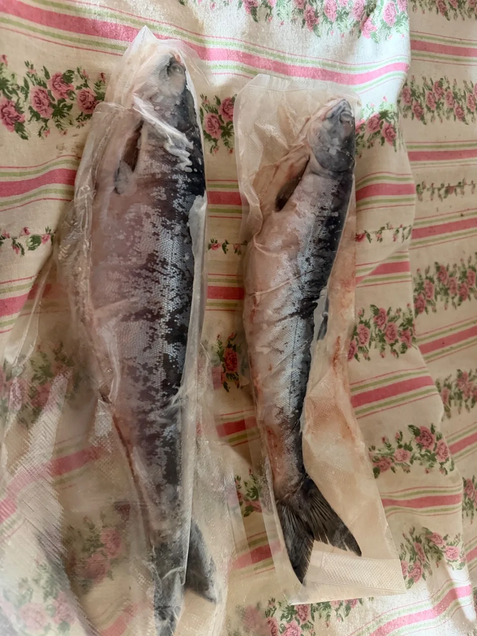 🥕 Продукты · Холмск