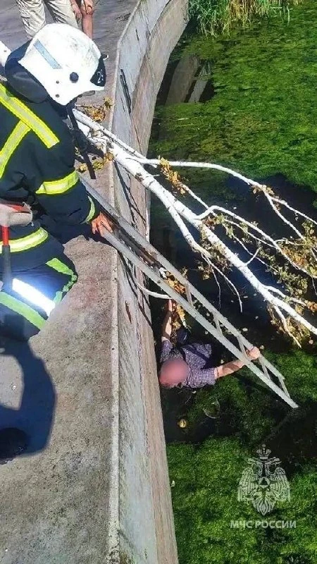 В Мариуполе вытащили мужчину из реки Кальчик

Как сообщается, 66‑летний мужчина во время прогулки в 