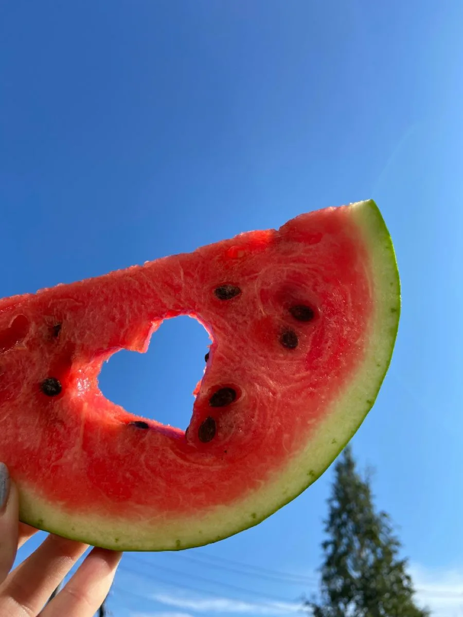 🍉 Полосатый король лета: 5 неожиданных фактов об арбузе, которые вас удивят!

Трудно представить ле