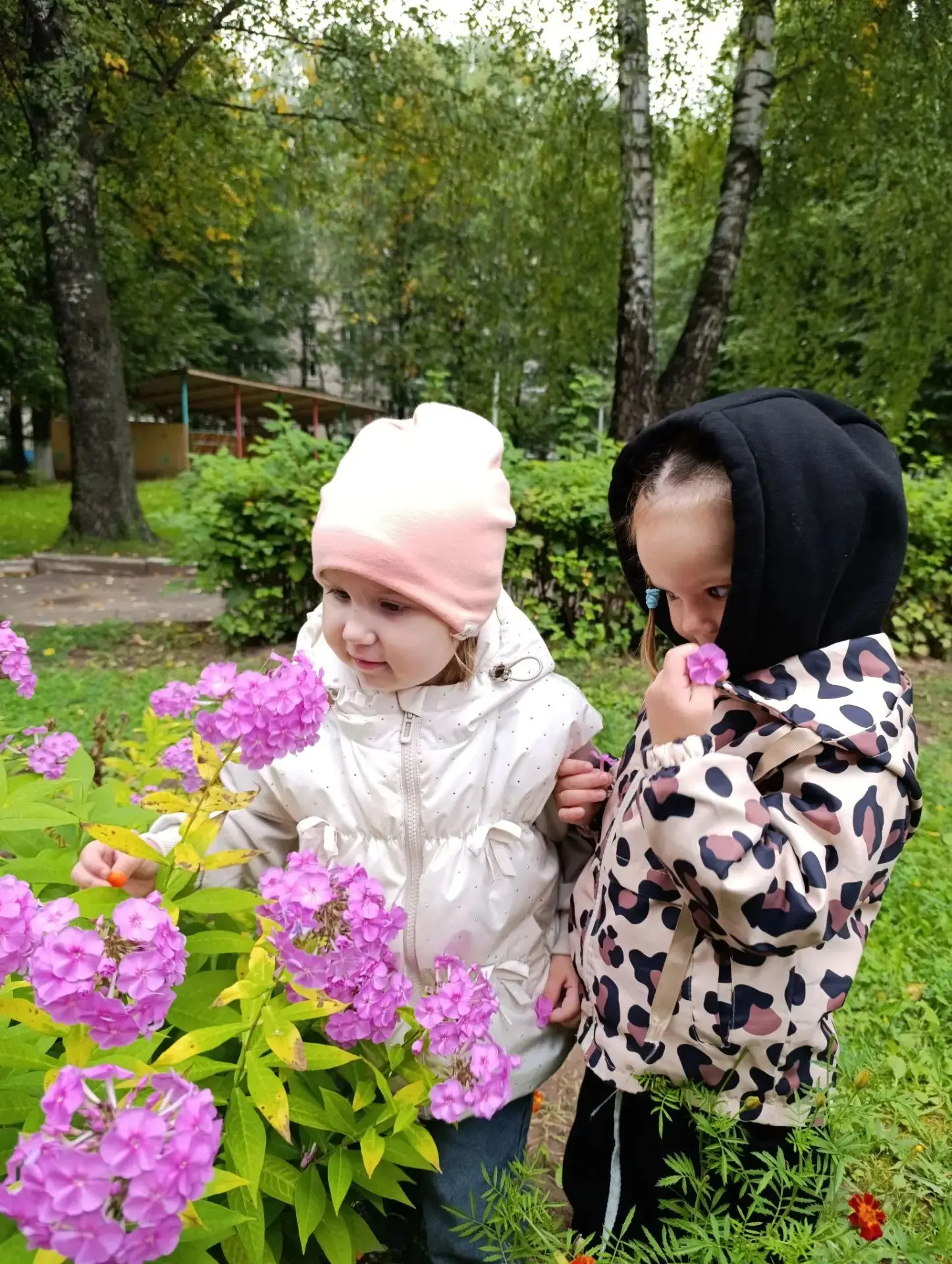 ☀️Взаимодействие ребёнка-дошкольника с природой в детском саду — это не просто развлече...