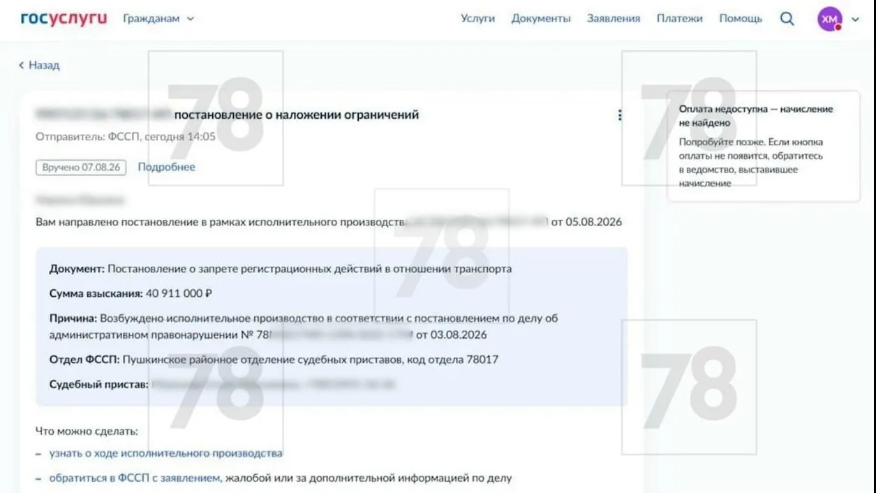 Петербурженка не оплатила парковку и осталась должна 40 млн рублей. Сообщение о взыскан...