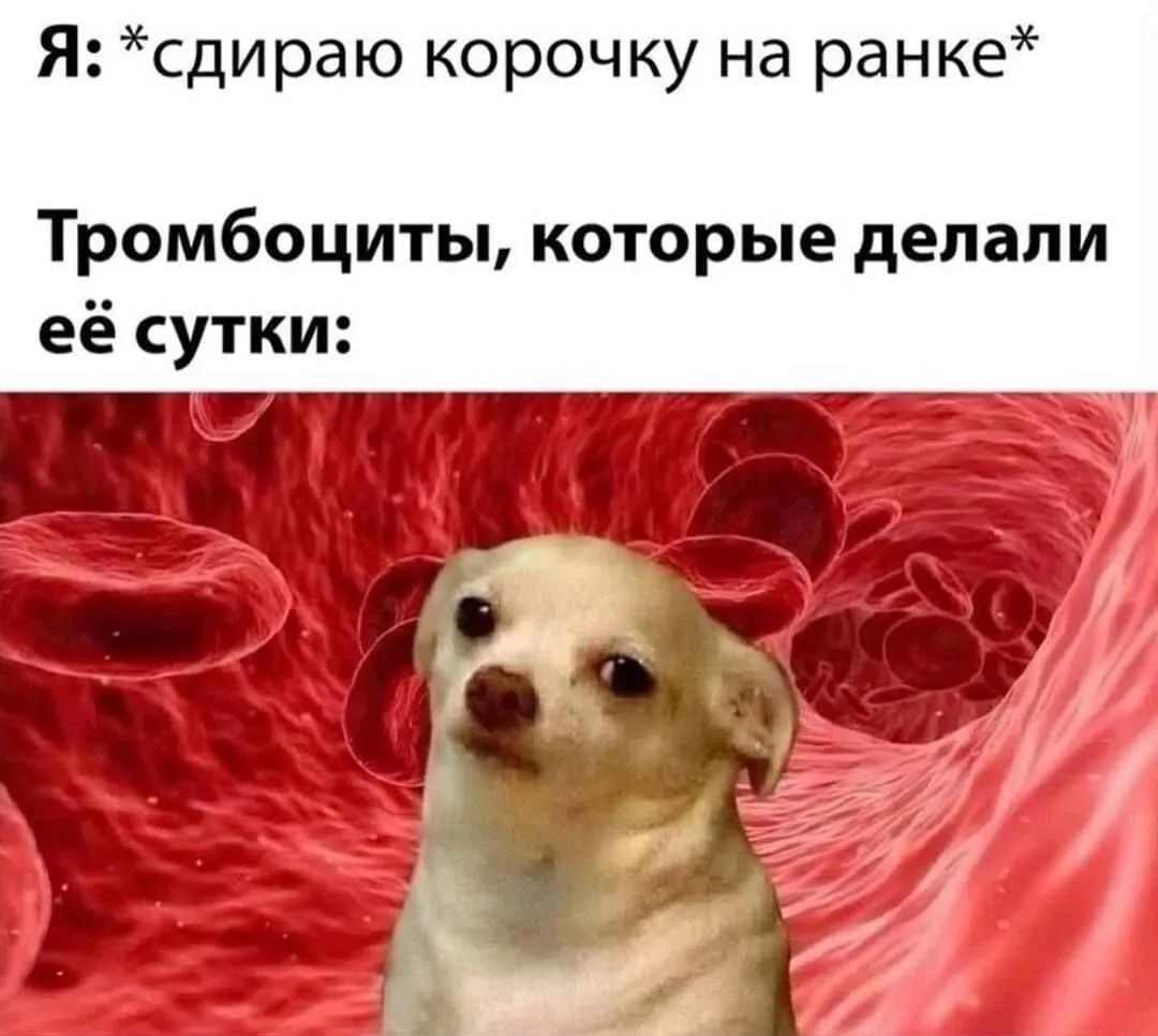 Твой путь к успеху — Подпишись