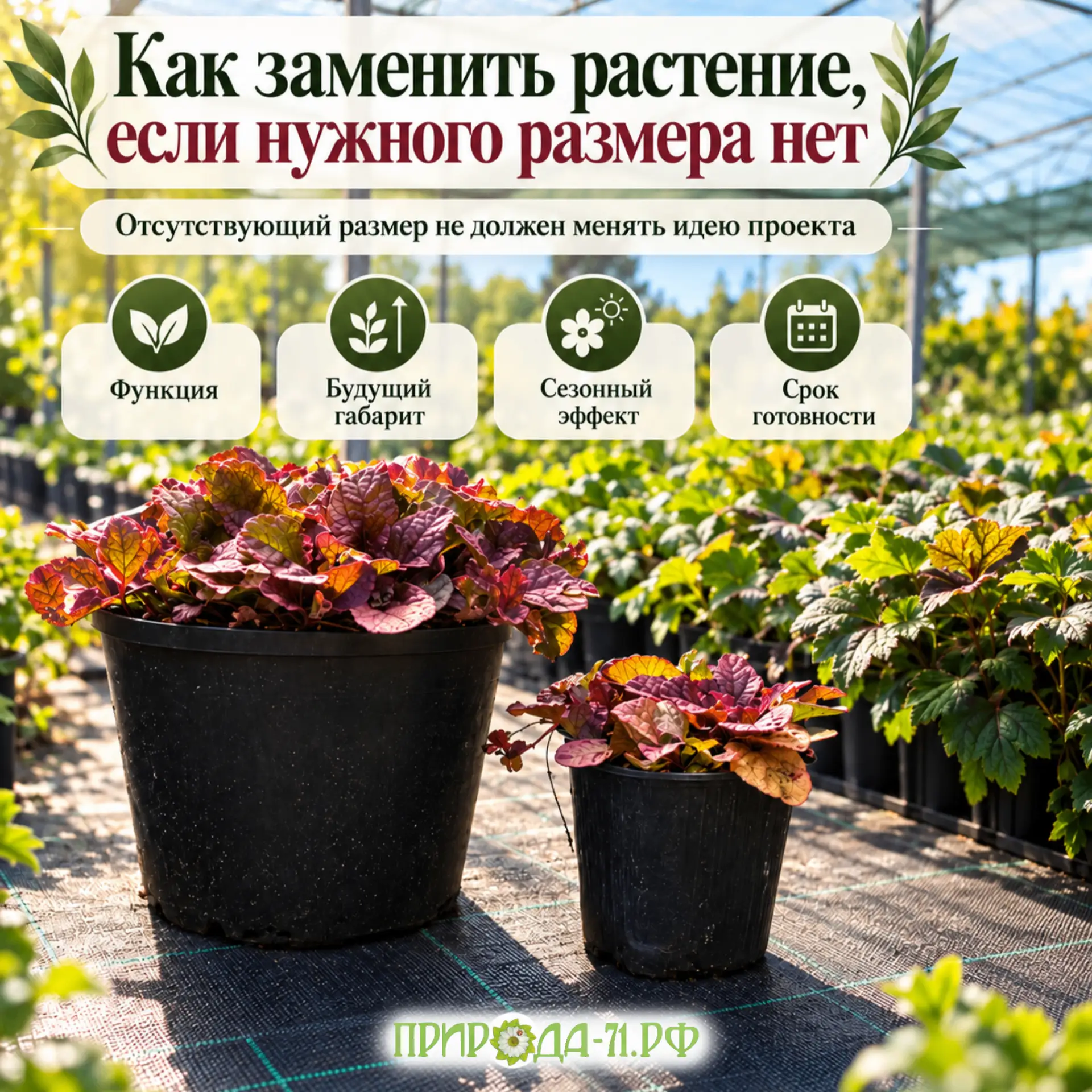 🌿 Как заменить растение в проекте без потери концепции?