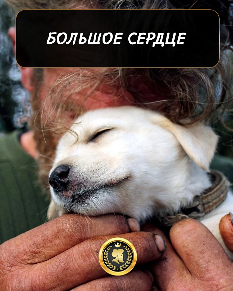 БОЛЬШОЕ СЕРДЦЕ 🐕

Его знал весь район — бездомный старик и его верный пёс Мухтар. Годы они делили е
