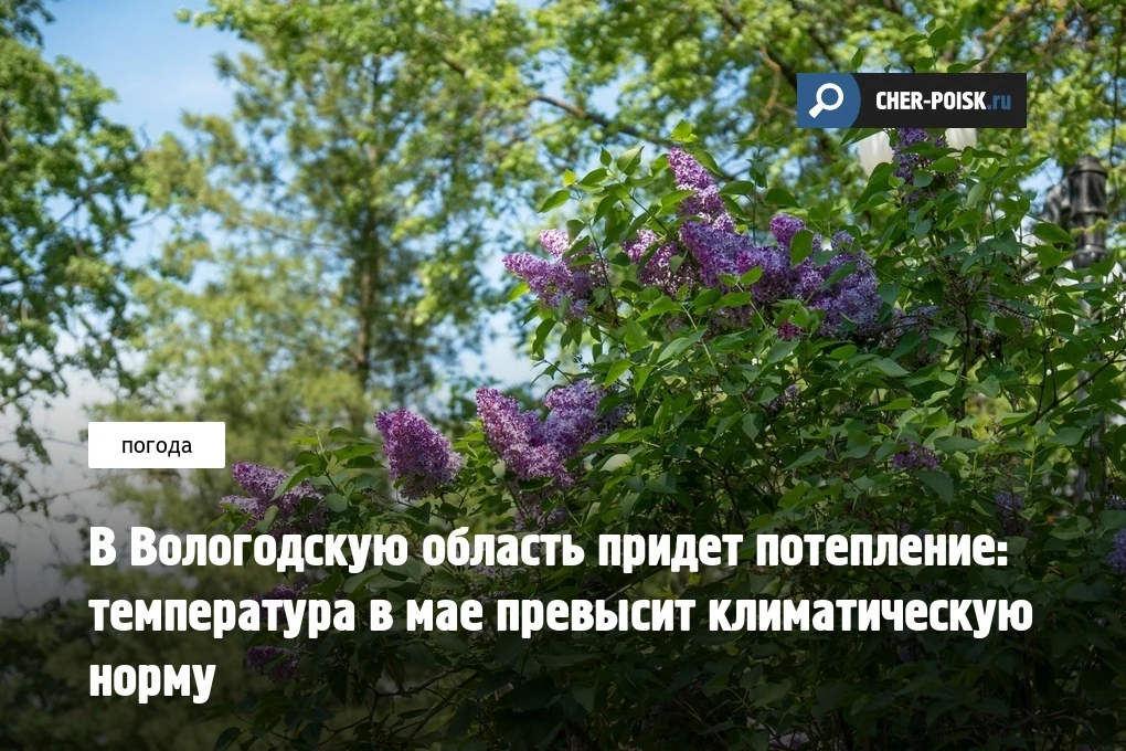 В понедельник, 11-го мая, на погоду в Вологодской области начал оказывать влияние циклон: из-за силь