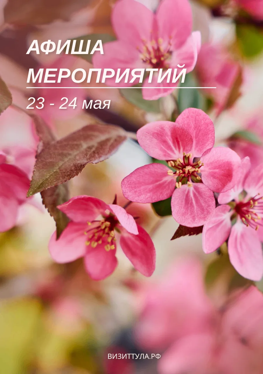 Тула, ты — мой главный экспонат,