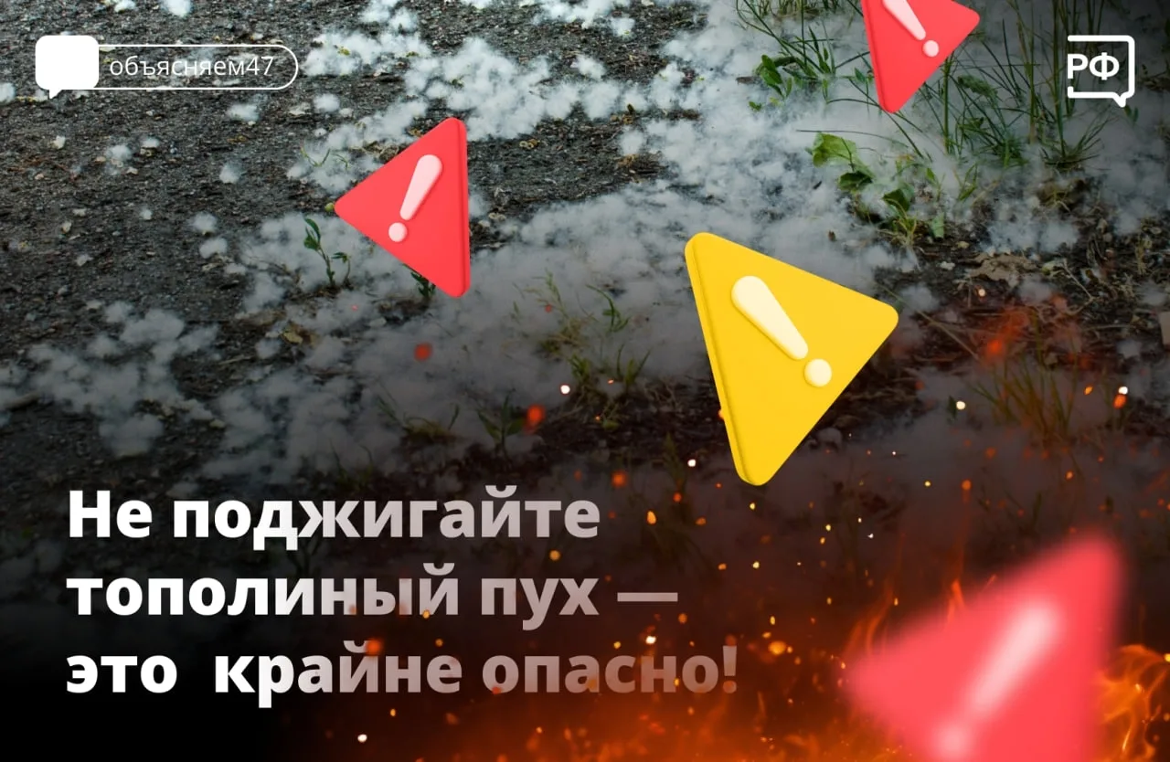 Сотрудники МЧС России предупреждают жителей об опасности поджогов тополиного пуха, который вспыхивае