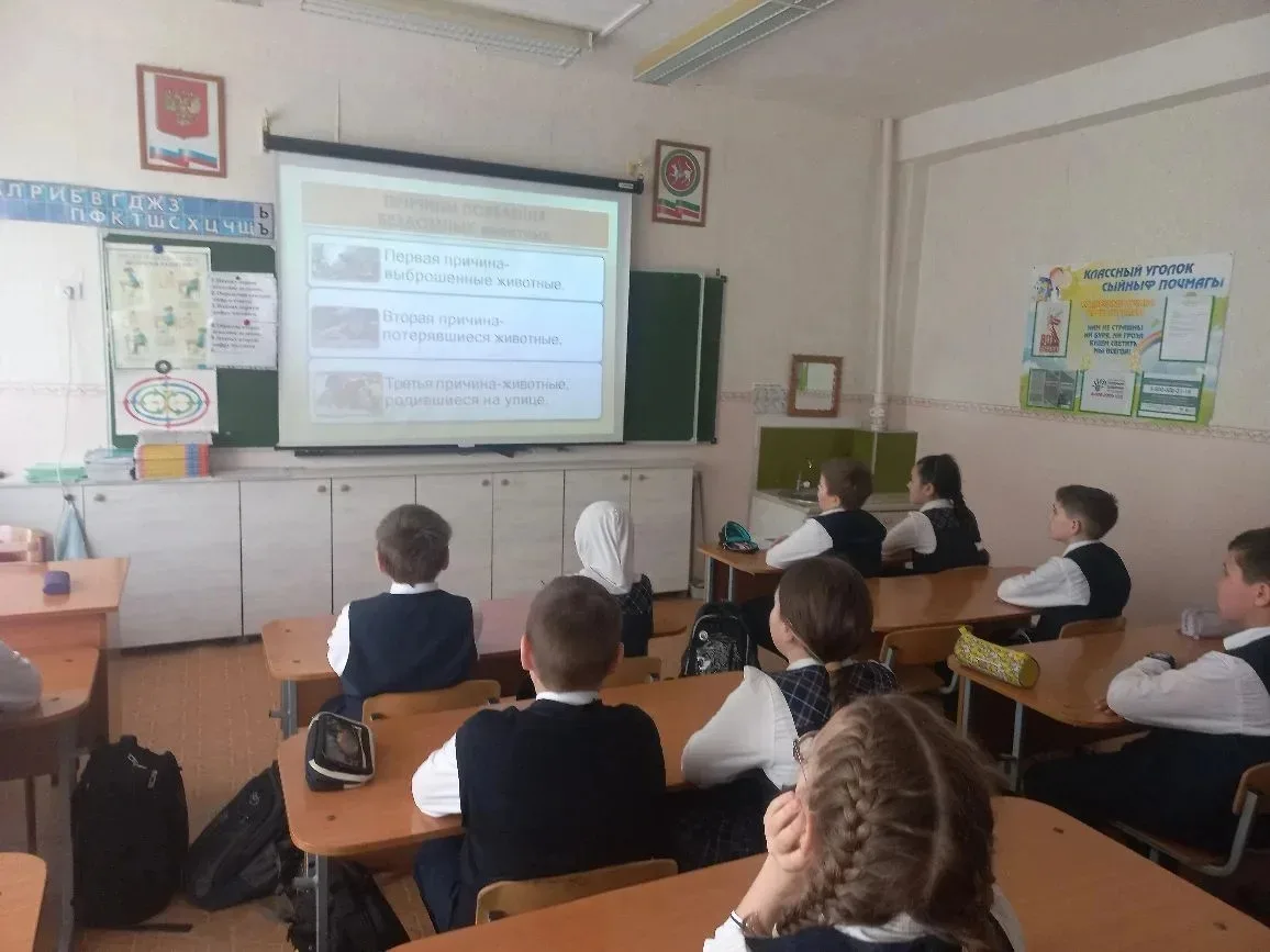 В 4Б классе прошёл важный разговор о братьях наших меньших 🐾❤️  В рамках экологического месячника пе