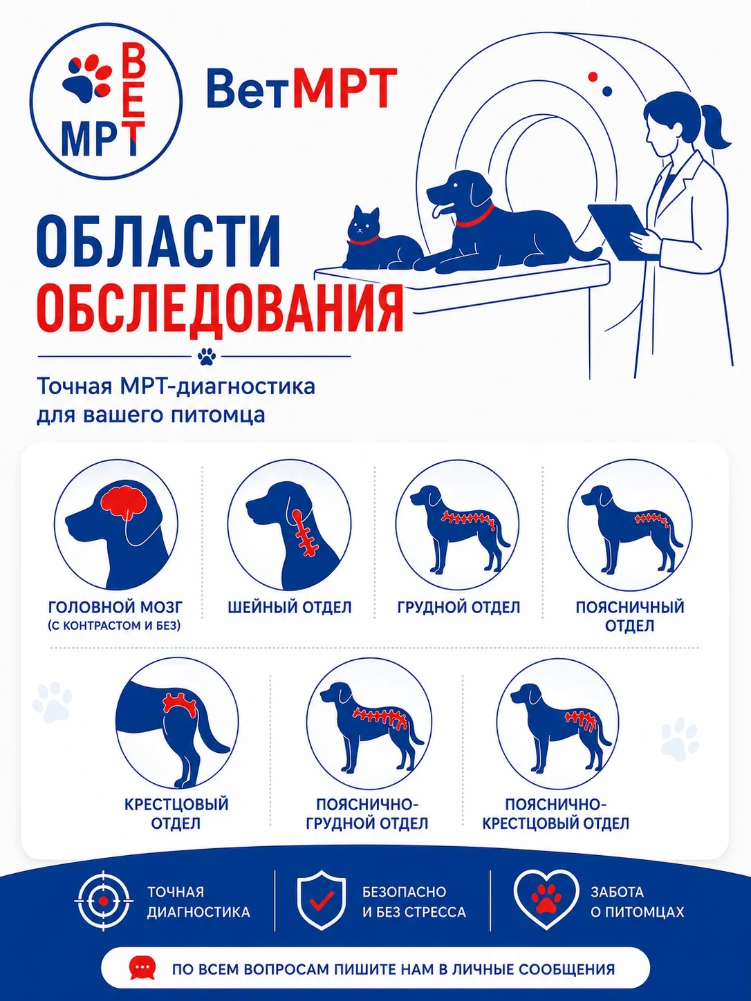 🐾 Какие области мы обследуем в ВетМРТ