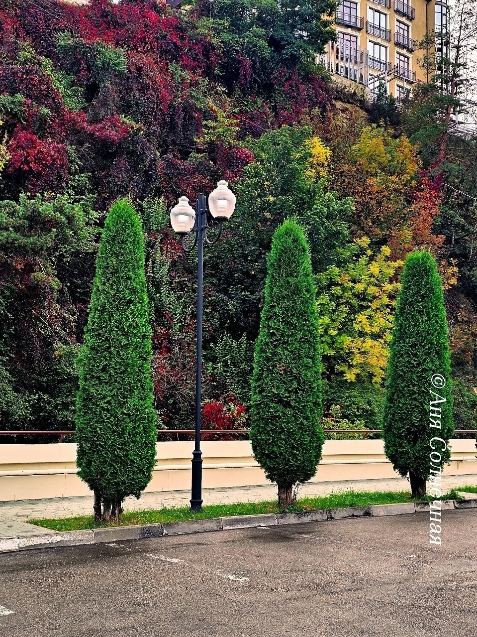 🍁 Осень в Кисловодске