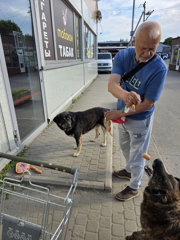 Возле Пятерочки нас уже знают🐶🐶