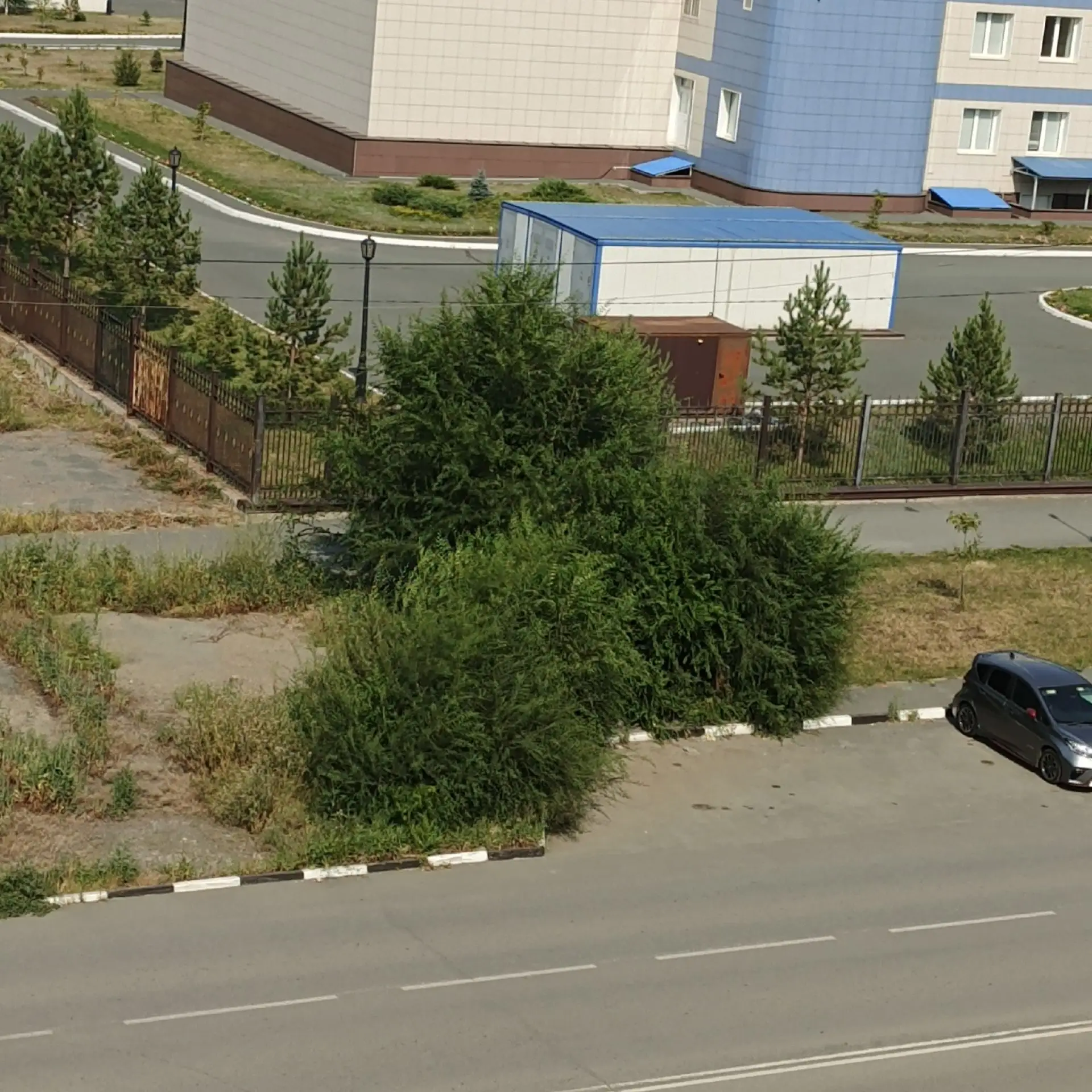 На Ялтинской улице на остановке, под деревьями сидят собаки вроде 2, или 3 штуки, лают на детей.
Дет