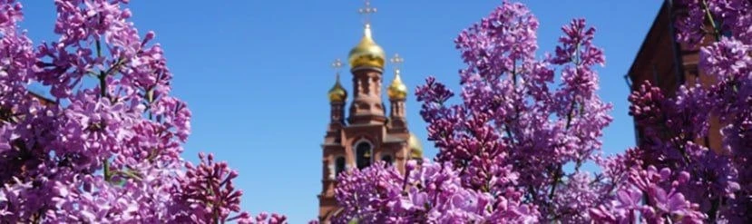 Алексеевский женский монастырь приглашает на работу ПОВАРА🧑‍🍳.

📍Адрес: г. Москва, 
2-ой Красносе