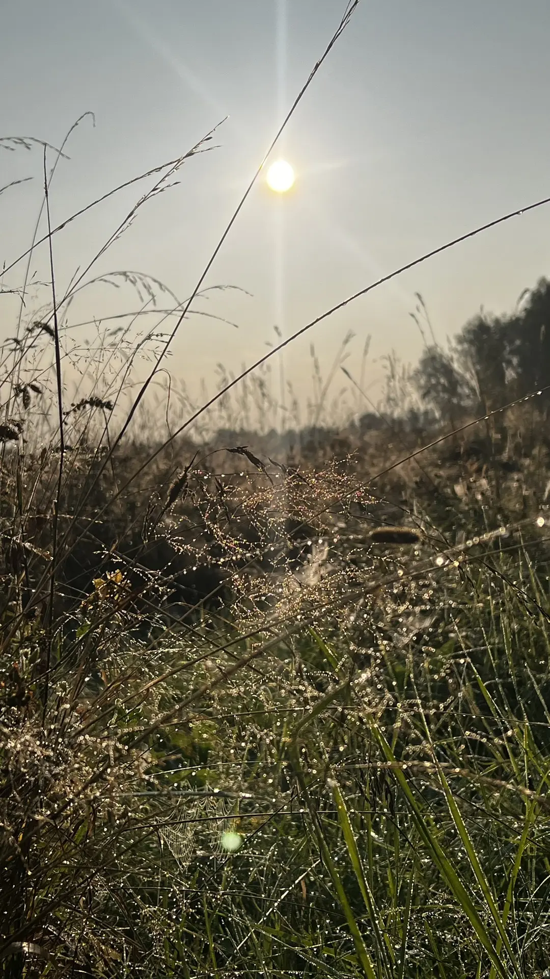 Утро❤️❤️❤️🙌🌾 осознания ↘️↘️↘️