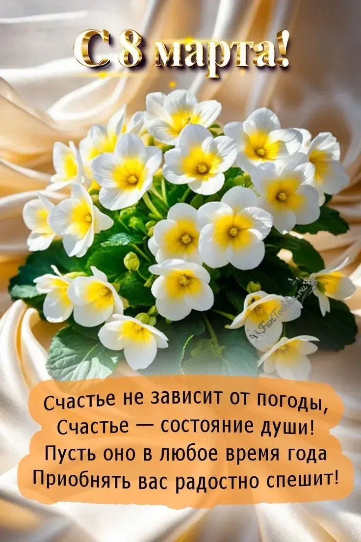 Дорогие наши подписчицы!
      От всего сердца ❤️поздравляем вас с замечательным праздником - Междун