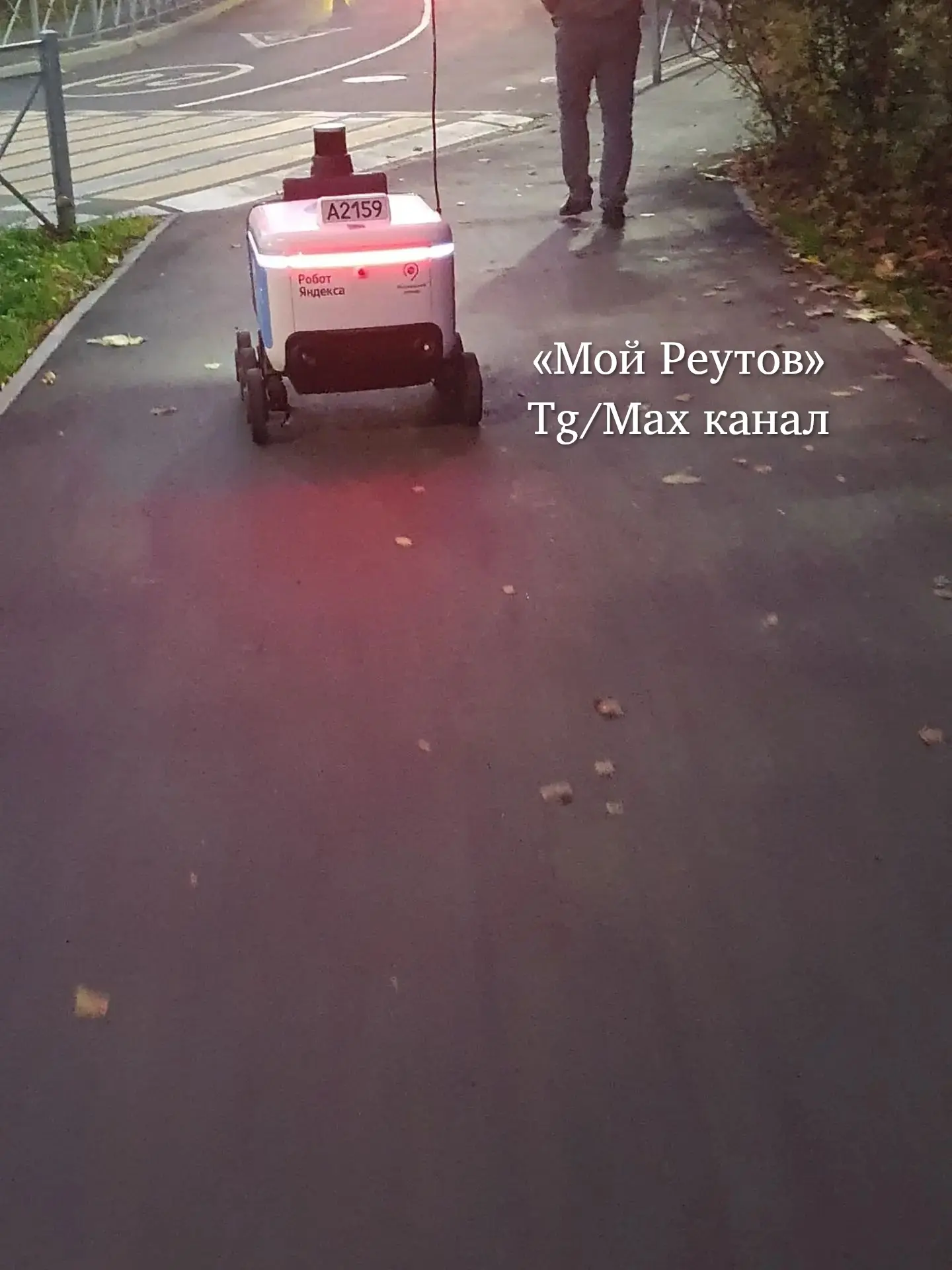 🤖Продолжаем наблюдать за роботами доставщиками. Лесная, Юбилейный.