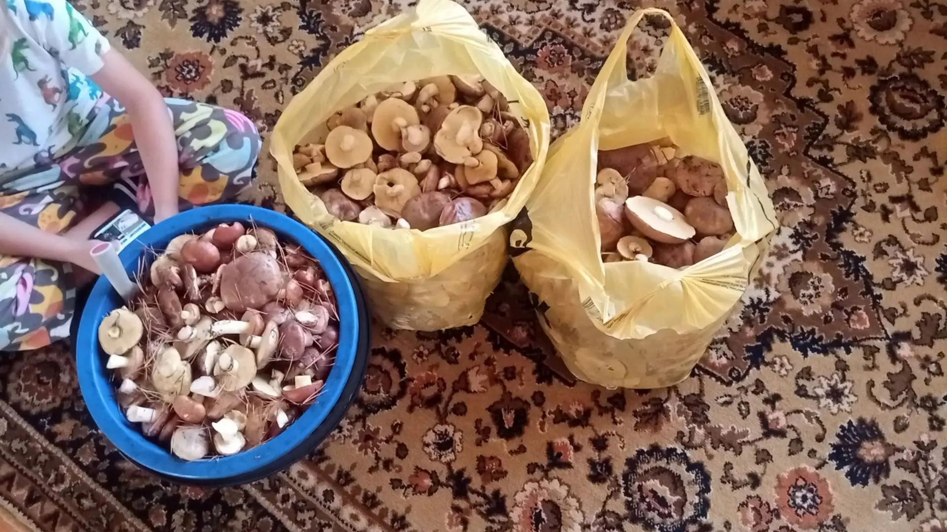 Не можем не поделиться вашими уловами! 🍄‍🟫