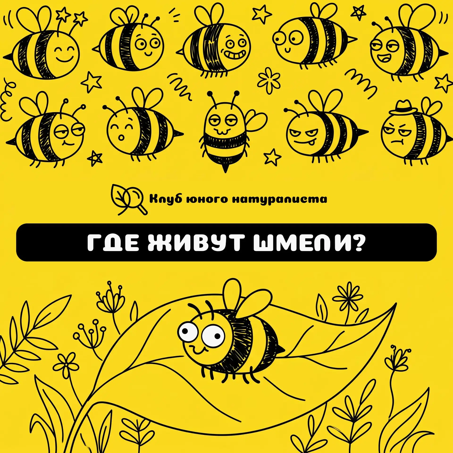 🐝 Одним из вестников северного лета являются даже не бабочки-крапивницы, а шмели. Пушистые медоносы