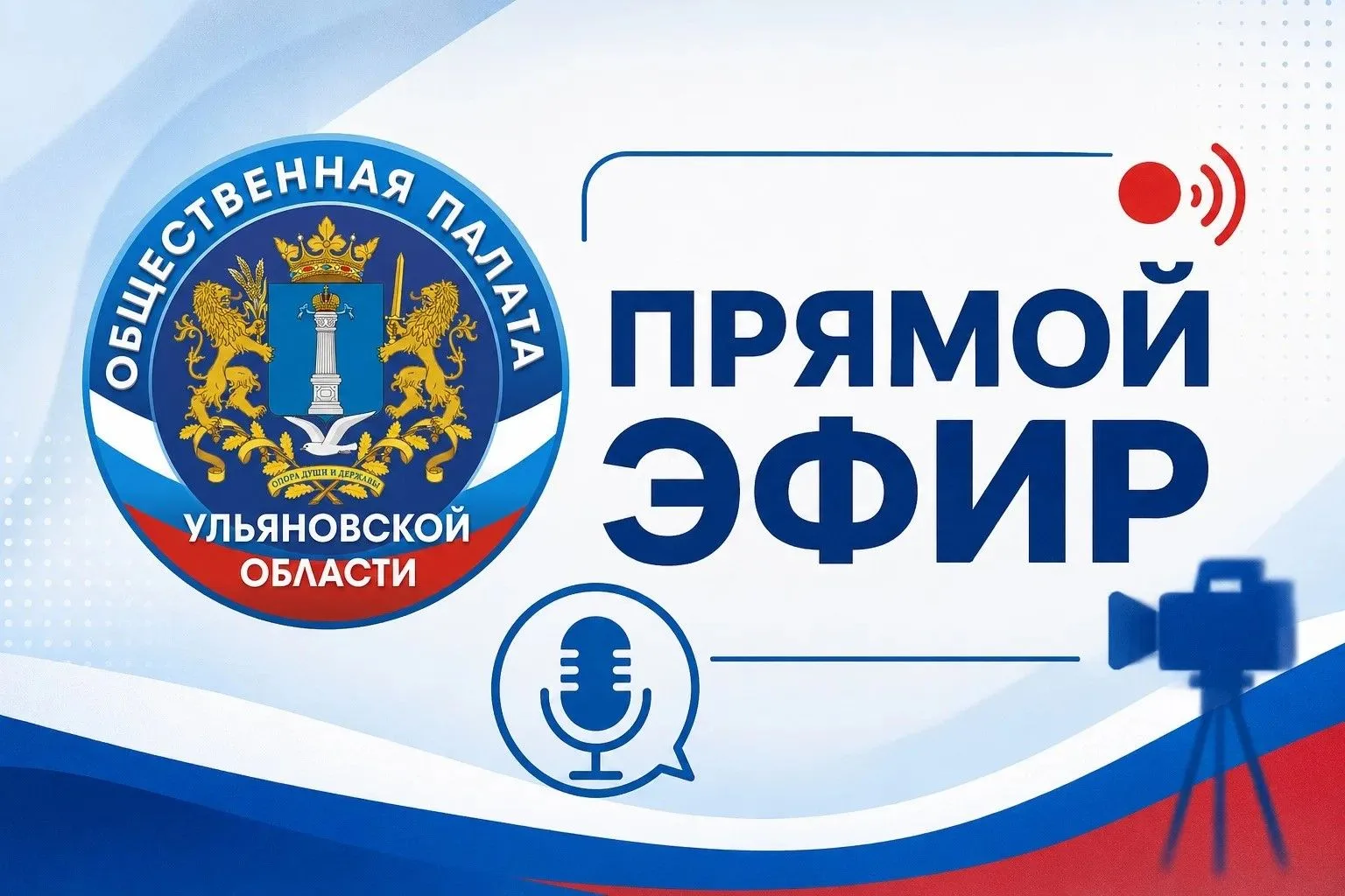 Трансляция заседания комиссии Общественной палаты Ульяновской области по здравоохранени...