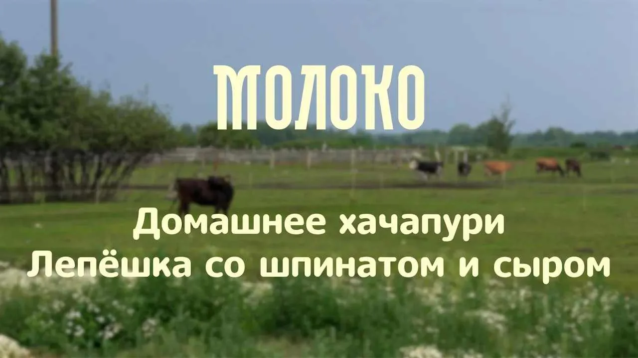 Домашнее хачапури. Лепёшка со шпинатом и сыром | проект «Молоко»

В этом выпуске поднимемся в горную