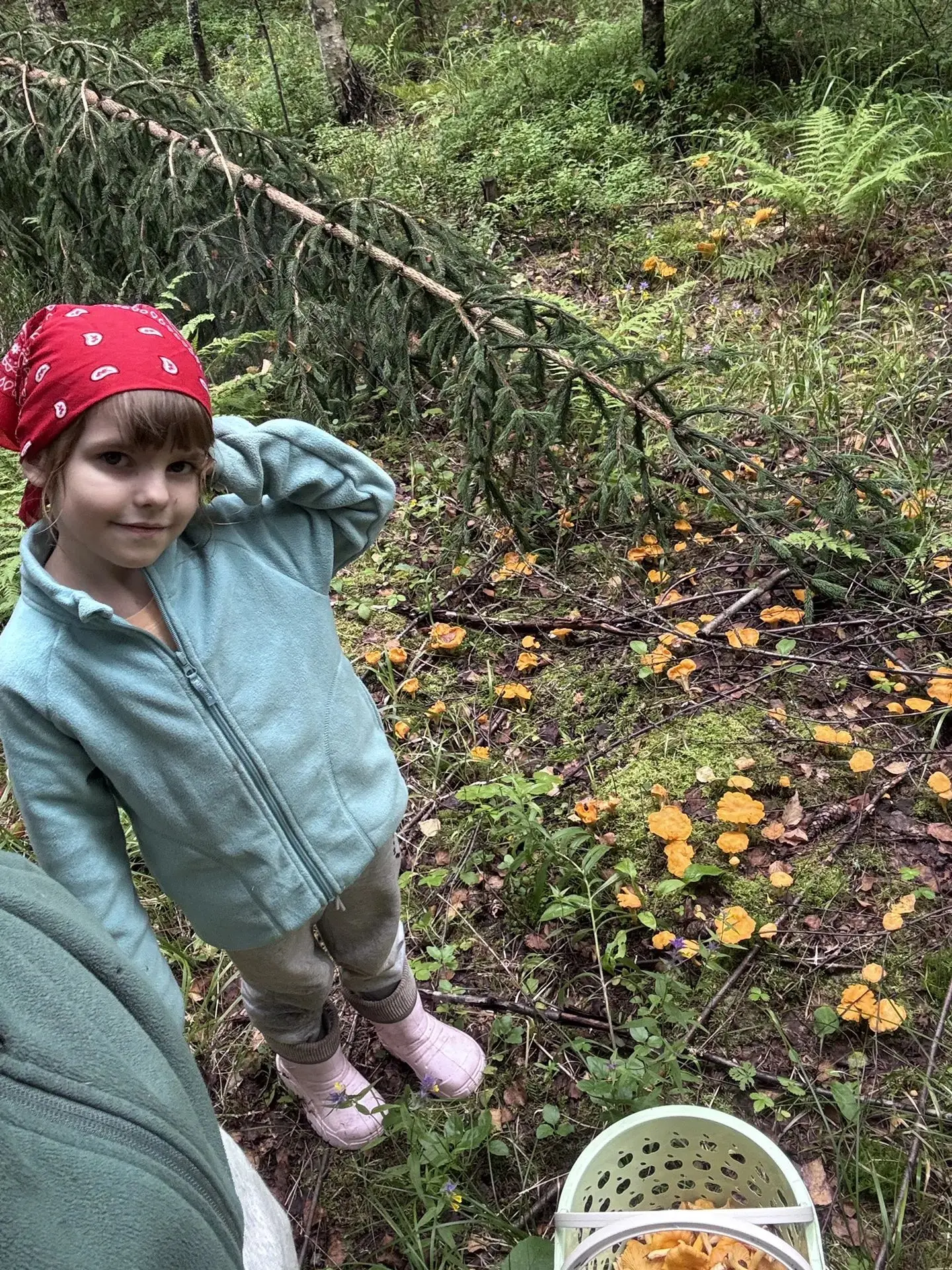 🌲Надя, воспитанница 8 дошкольной группы, передаёт привет из лесов Можайска