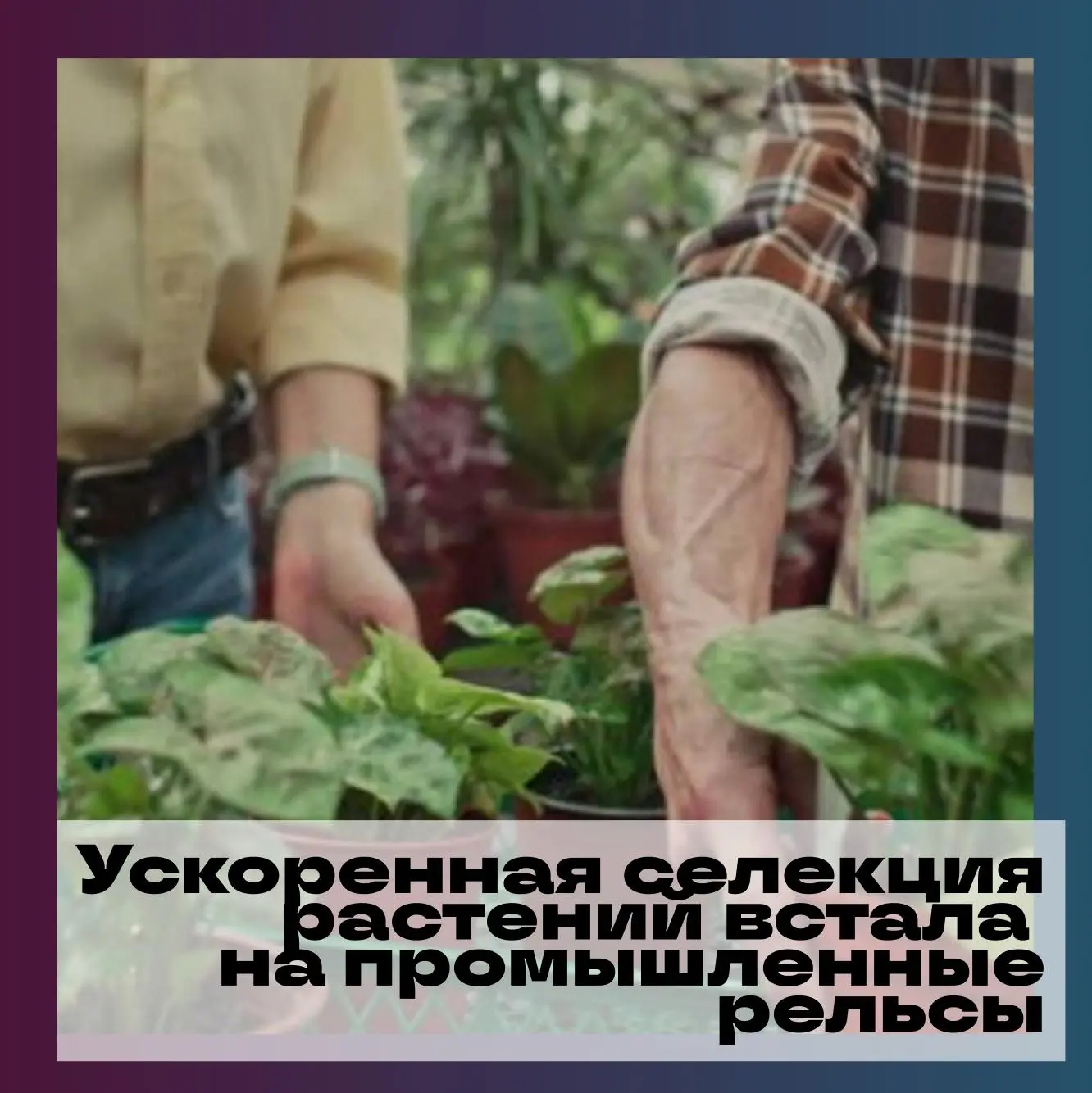 🏭 Компания «Щелково Агрохим» (Московская область), один из крупнейших производителей пестицидов, а 