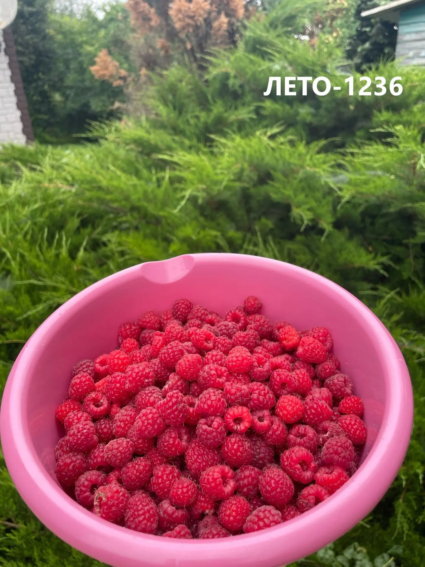 Объявляем победителя школьного фотоконкурса «ЛЕТО - 1236» на прошлой неделе на тему «ПЛ...
