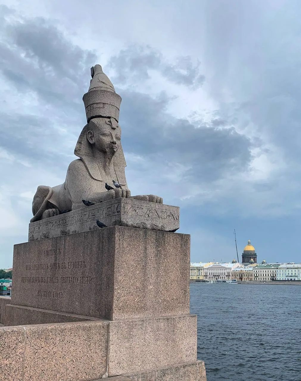 Сфинксы Петербурга 🏺