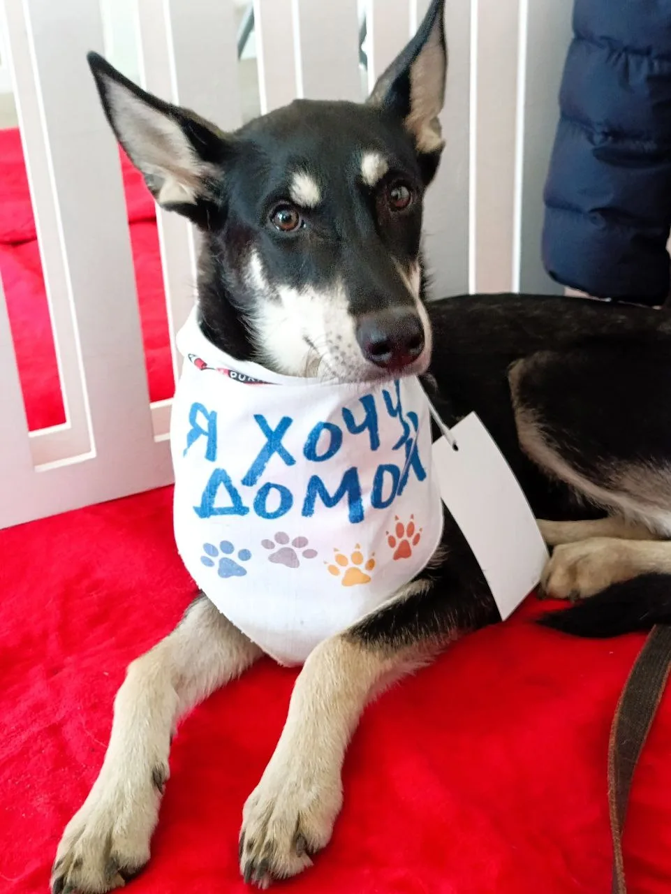 Смотрите, какой красивый грибочек вырос сегодня на площадке «Юна-Фест» 🎉